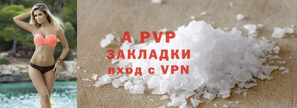 гашик Балахна