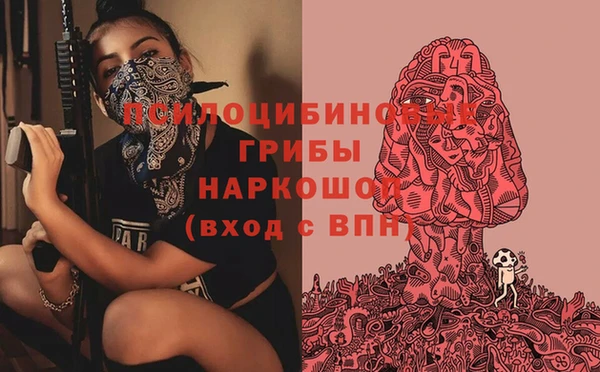 гашик Балахна