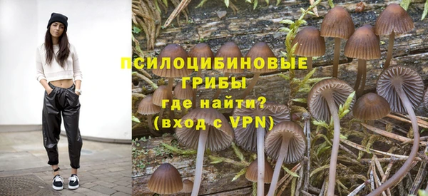 гашик Балахна