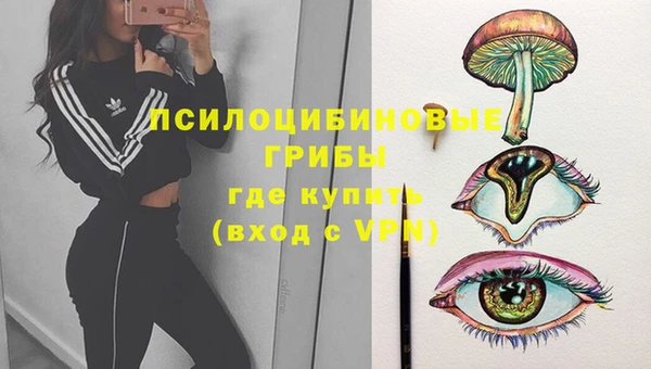 кокс Баксан